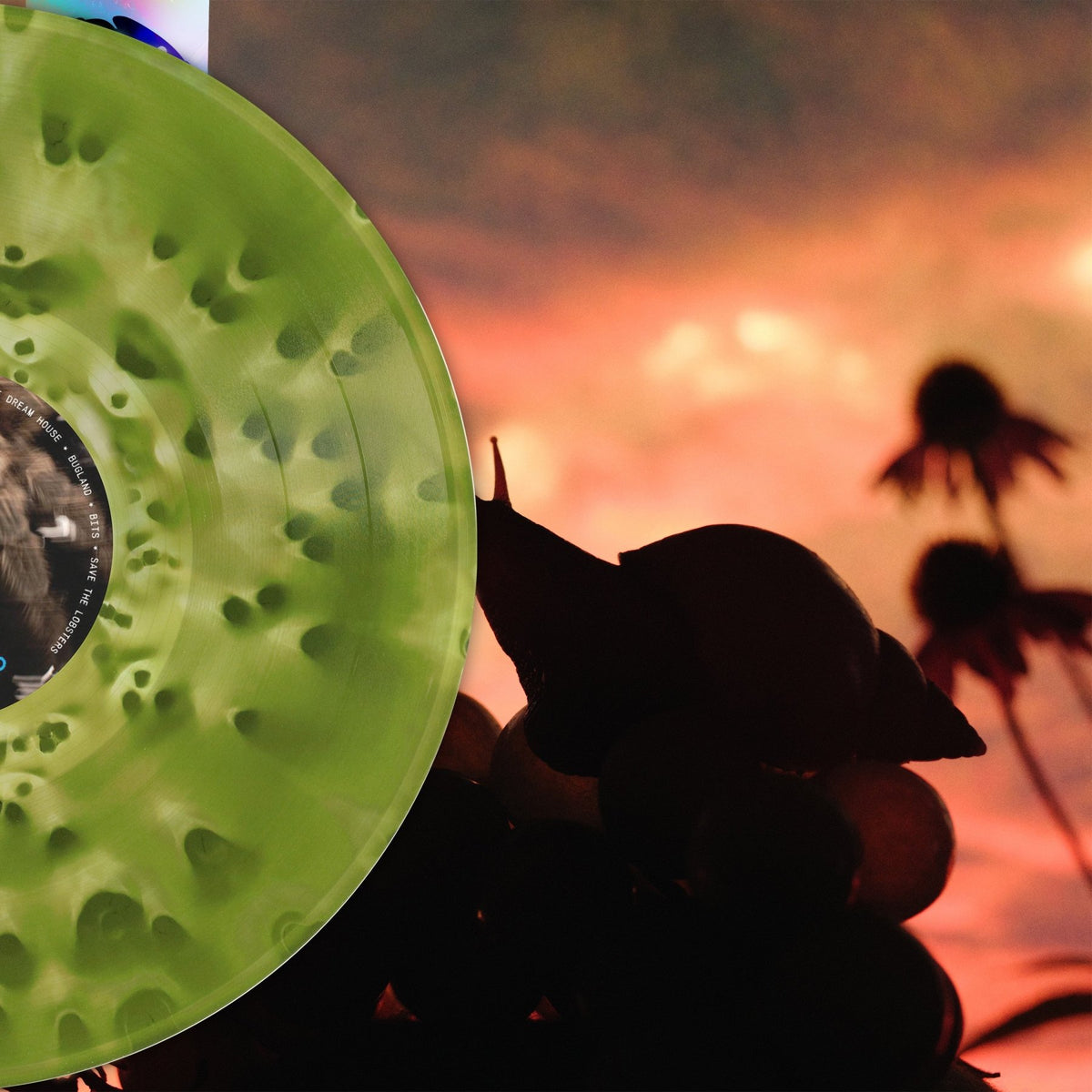 No Joy - Bugland (Vinyle Neuf) main image 1