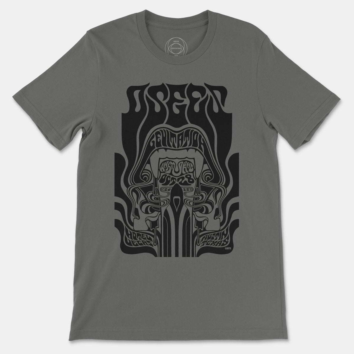 osees-x-levitation-2022-night- 