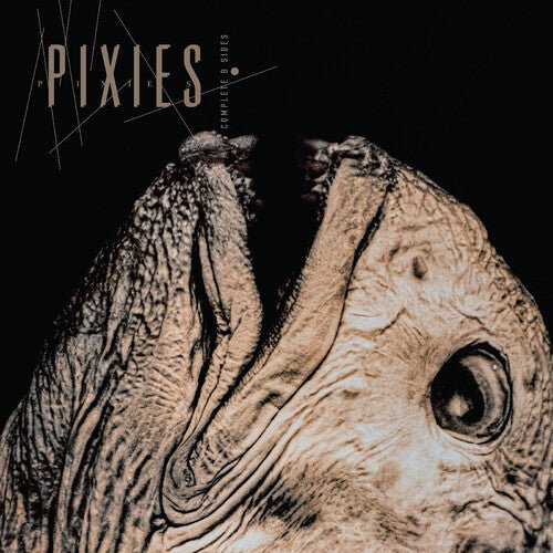 Pixies - Complete B Sides: 1988-97 – LEVITATION
