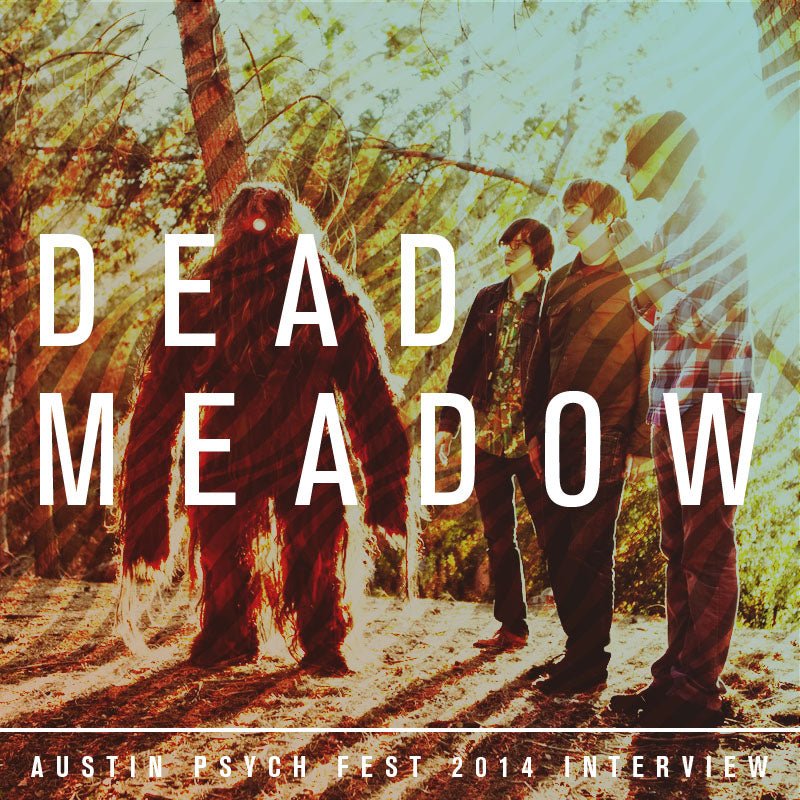 Dead Meadow Official APF 2014 Interview - LEVITATION