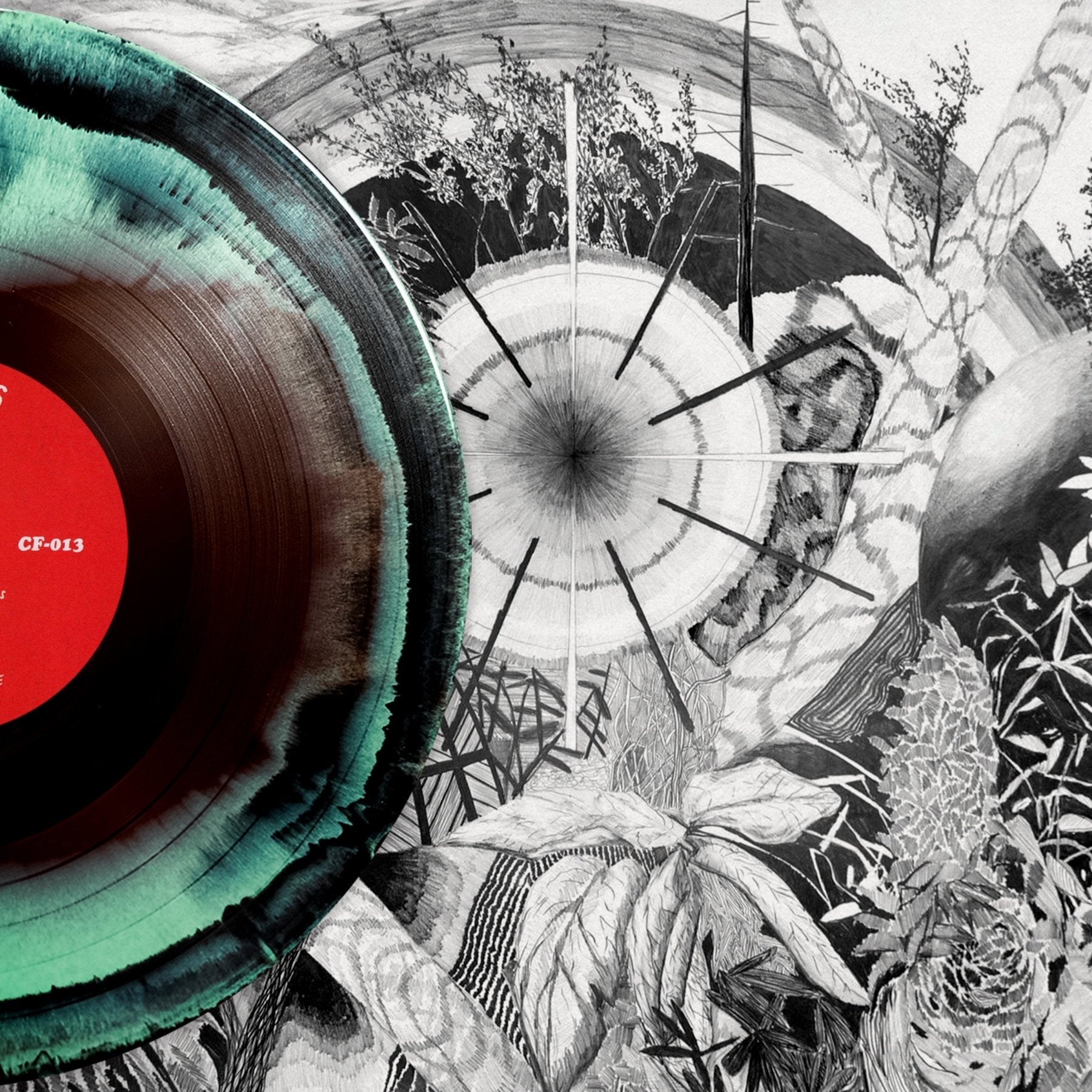 Osees: Dog Poison - LEVITATION
