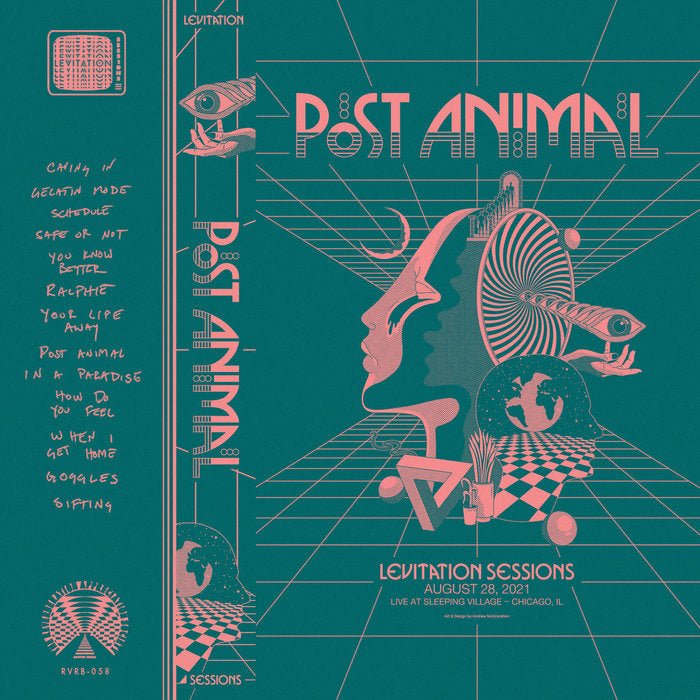 Post Animal - "Goggles" (Levitation Session): Watch Now - LEVITATION