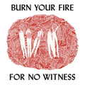 Angel Olsen - Burn Your Fire for NO Witness