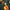 Morphine - Good