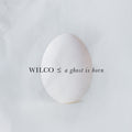 Wilco - Ghost is Born (Cd)
