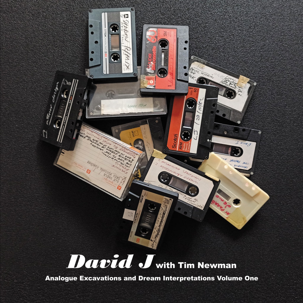 David J & Tim Newman - Analogue Excavations & Dream Interpretations Vol.1