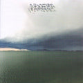 Modest Mouse - Fruit That Ate Itself (Cd)