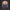 Whigs : Modern Creation