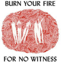Angel Olsen - Burn Your Fire for No Witness (CD)