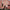 Pink Mountaintops : Get Back