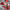 Holly Herndon - Platform 2xLP