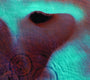 Sticky Image