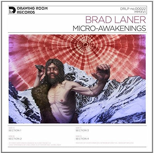 Brad Laner - Micro-Awakenings 2xLP