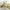 Mattiel - Satis Factory (Cd)