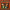 Dickies : All This & Puppet Stew (CD)