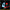 Virginia Wing / Xam Duo - Tomorrow's Gift