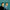 Everly Brothers' Best