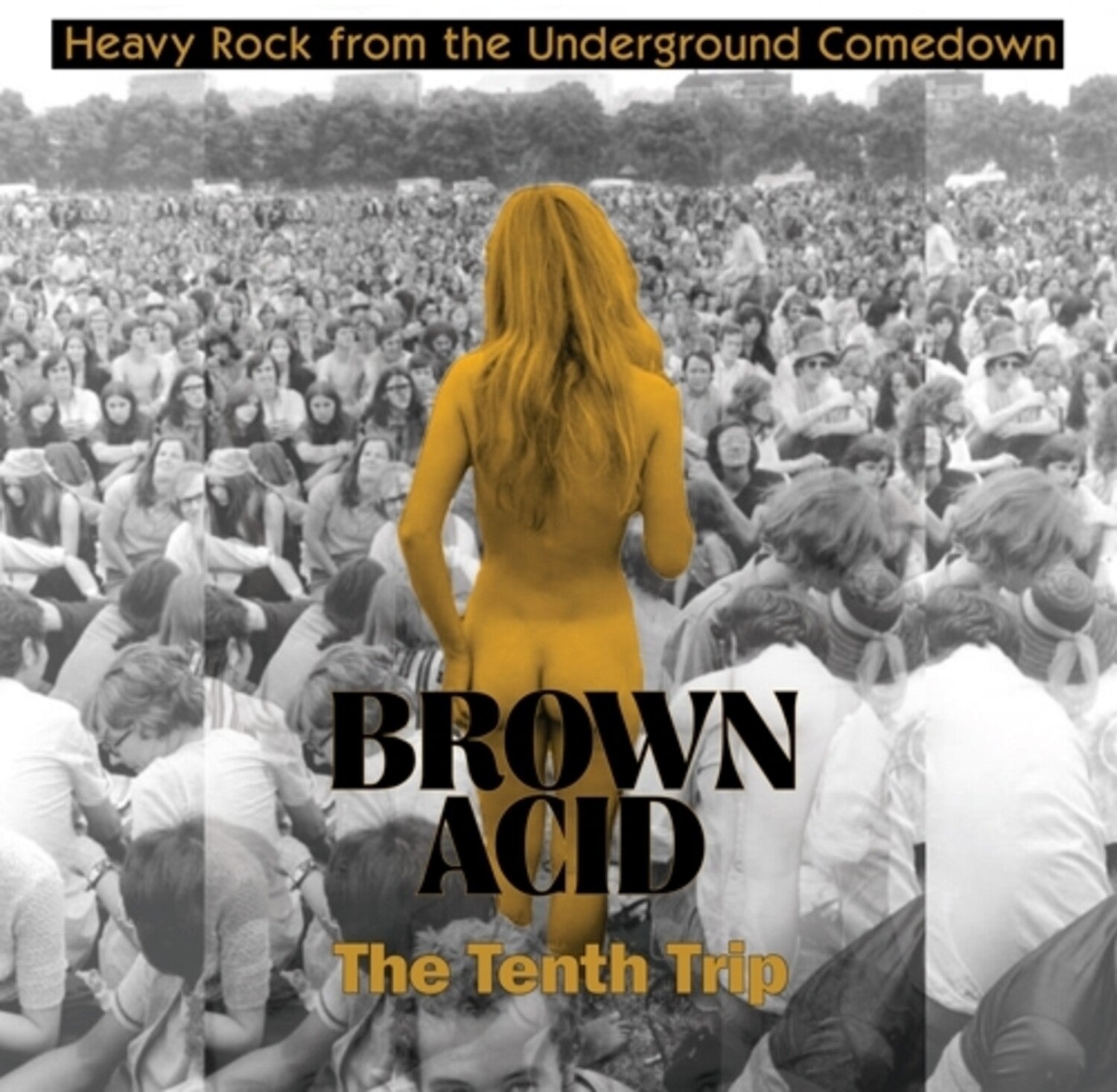 Various Artists - Brown Acid - the Tenth Trip