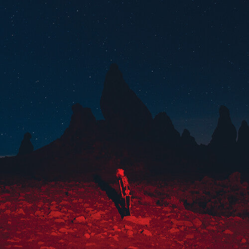 Phoebe Bridgers - PUNISHER
