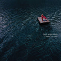 Dar Williams - I'll Meet You Here (Cd)