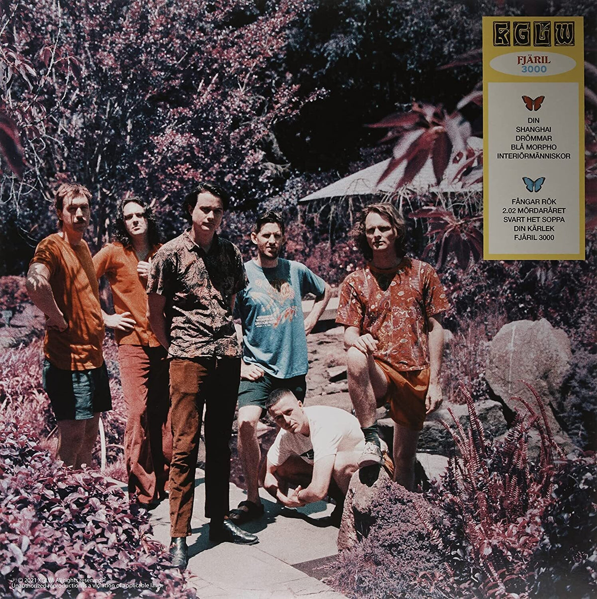 King Gizzard & The Lizard Wizard - Butterfly 3000 [Swedish]