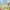 Frankie Cosmos - Inner World Peace (Cd)