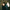 Cate Le Bon - Crab Day