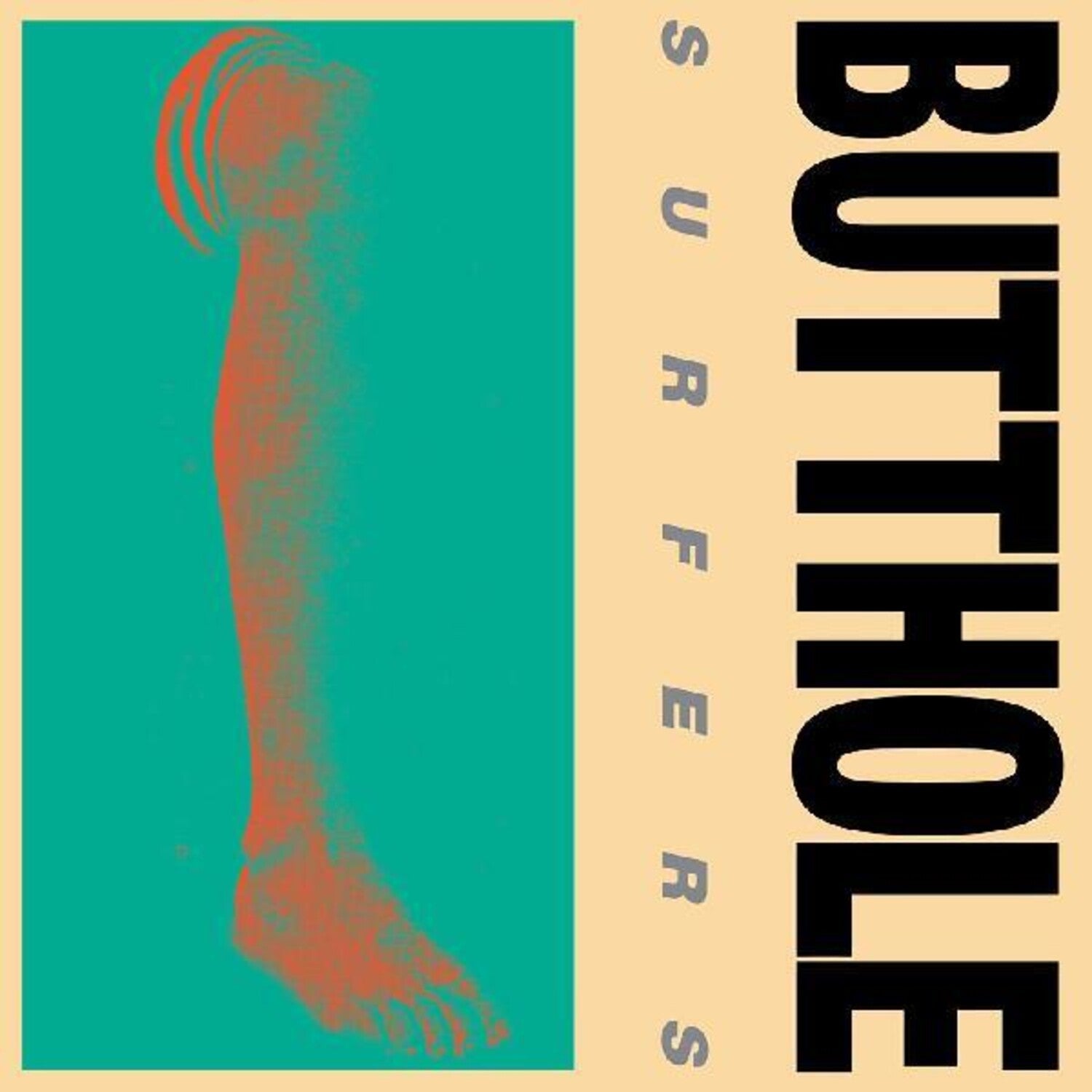 Butthole Surfers - Rembrandt Pussyhorse