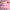 Vice Cooler / Erica Dawn Lyle - Land Trust: Benefit for Nefoc 2xLP (Pink Vinyl)