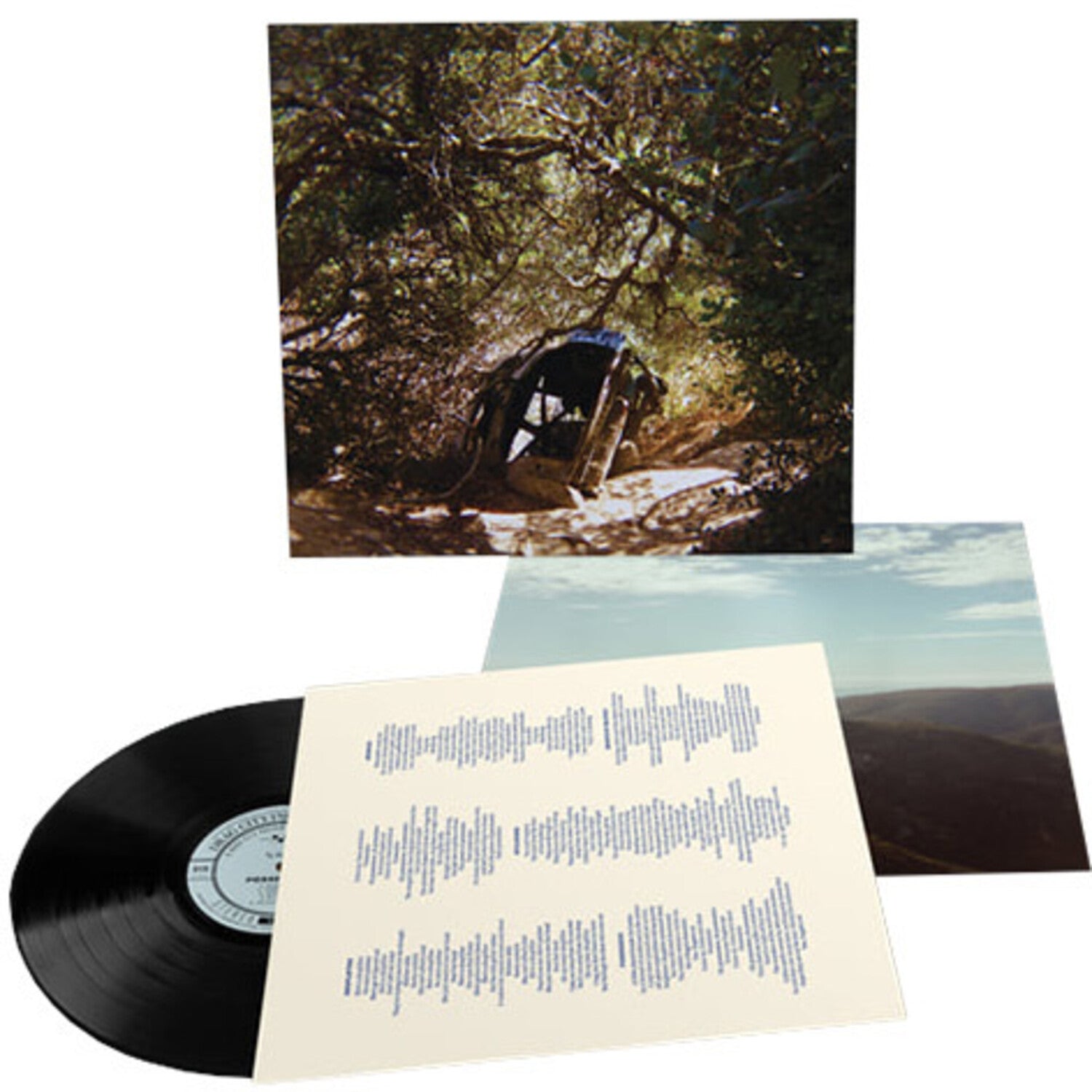 Ty Segall - Possession