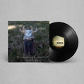 Mj Lenderman / Wednesday - Guttering