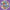 Bluebells - Sisters 2xLP (Expanded)