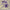 Bevis Frond - Inner Marshland (Purple Vinyl)
