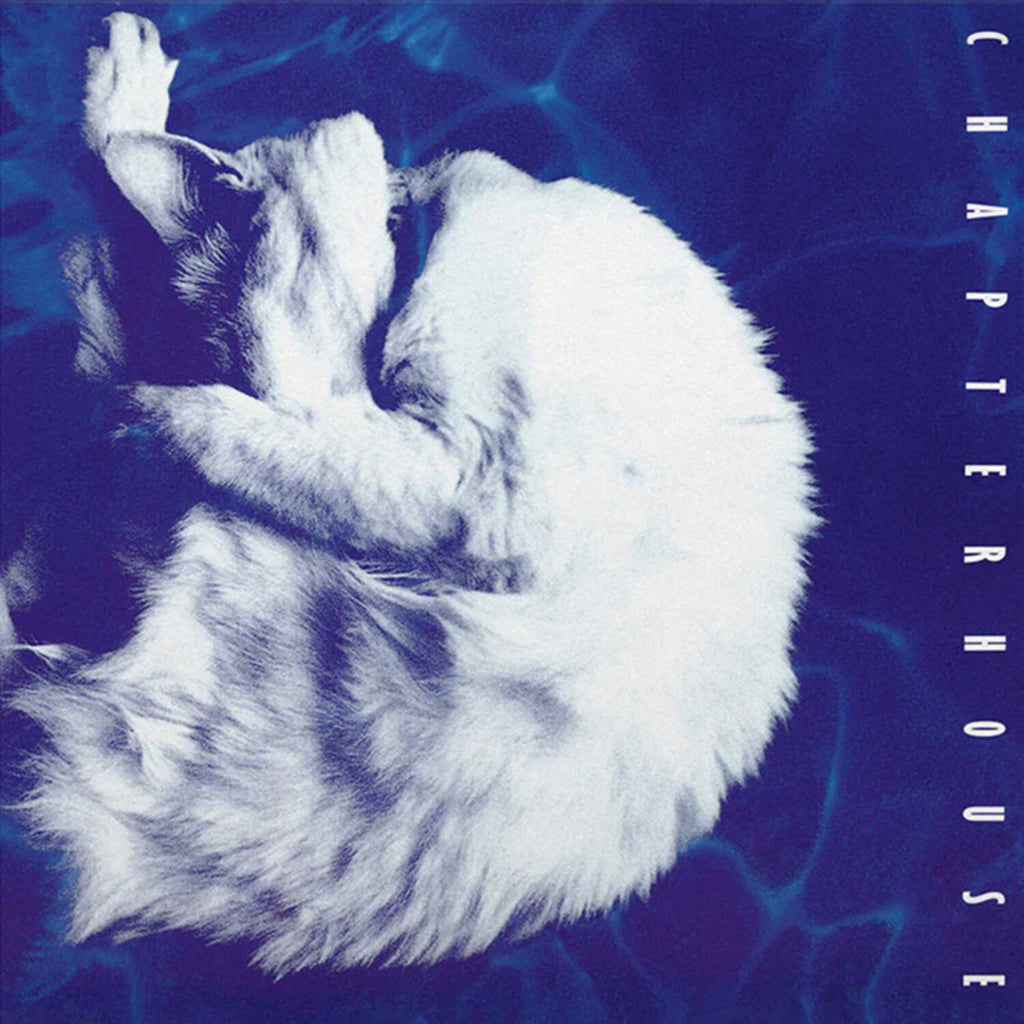 Chapterhouse - Whirlpool - Limited 180-Gram White & Black Marble Colored Vinyl (White Vinyl)