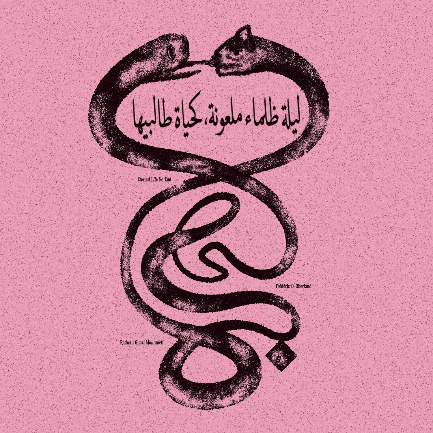 Radwan Ghazi Moumneh / Federic D. Oberland - Eternal Life No End