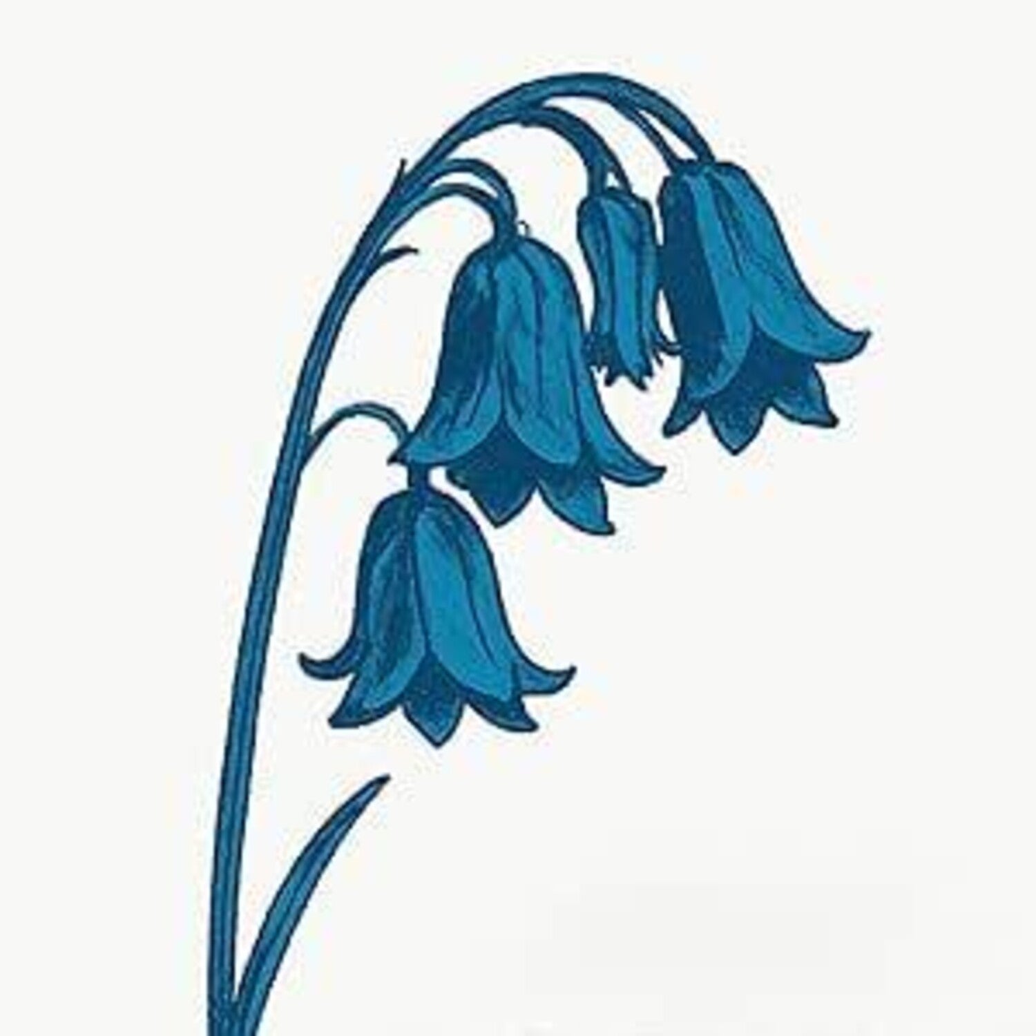 Bluebells - This is the Bluebells 2xLP (Blue Vinyl)