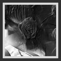 Ital Tek - Mind Abandon (Cd)