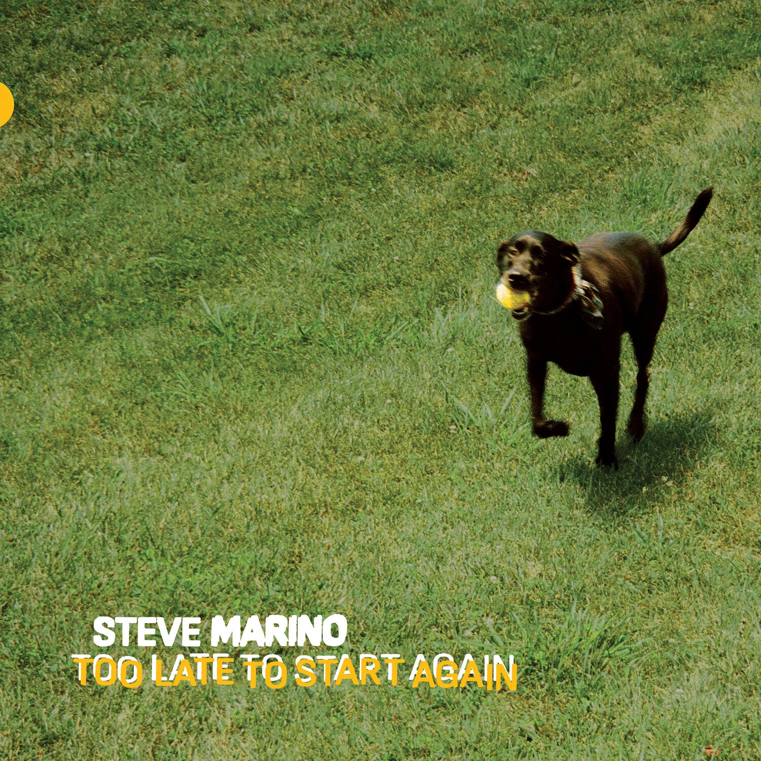 Steve Marino - Too Late to Start Again (Reissue)