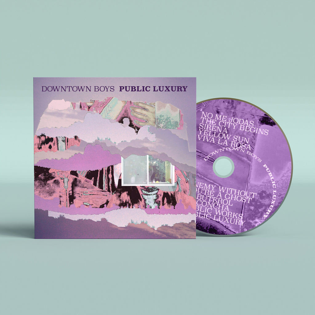 Downtown Boys - Public Luxury (Cd)