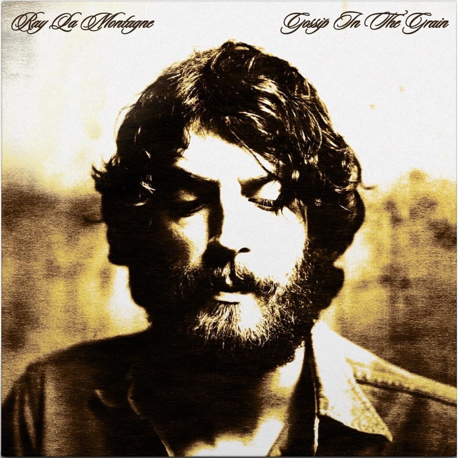 Ray Lamontagne - Gossip in the Grain 2xLP