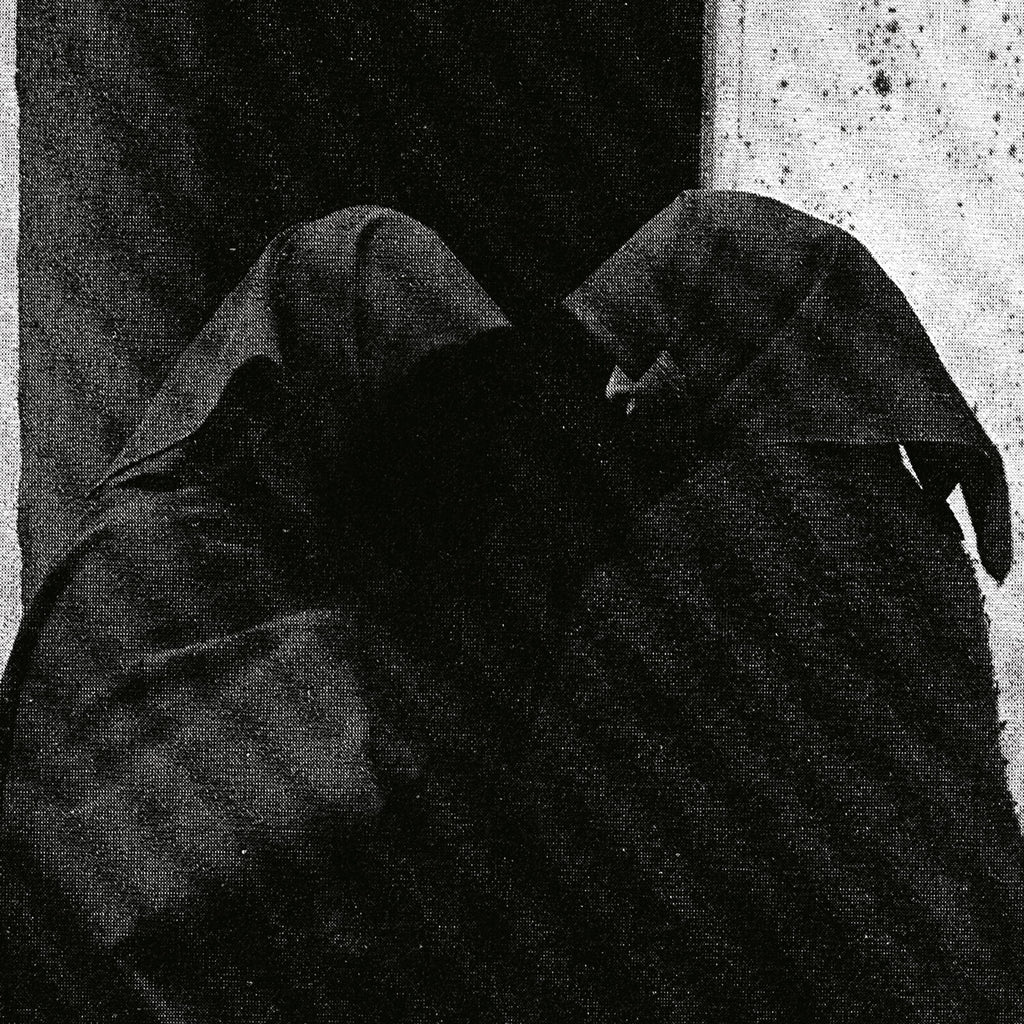 Downfall of Nur - And The Firmament Will Burn To Quench The Pain Of This Earth 2xLP