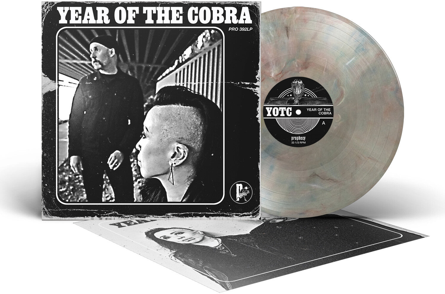 Year of the Cobra