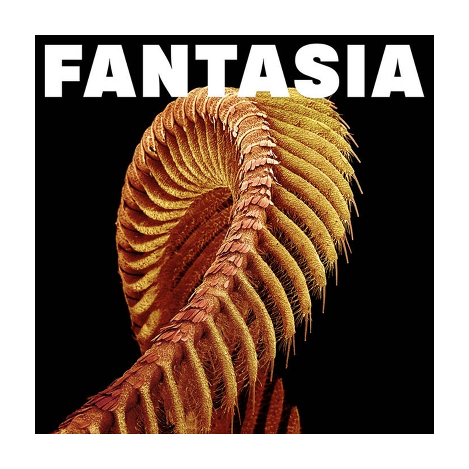 Slift - Fantasia 2xLP (Yellow Vinyl)