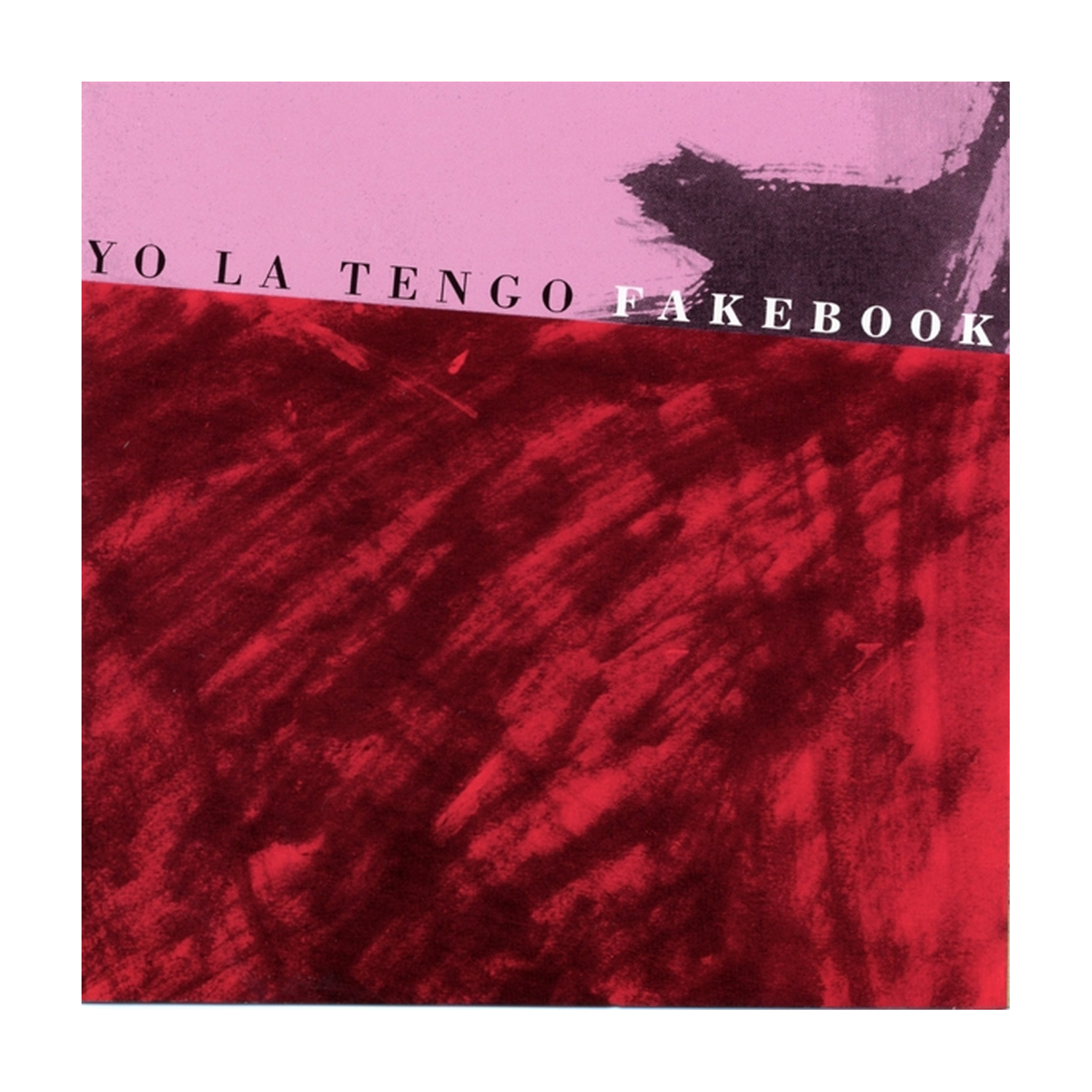 Yo LA Tengo - Fakebook