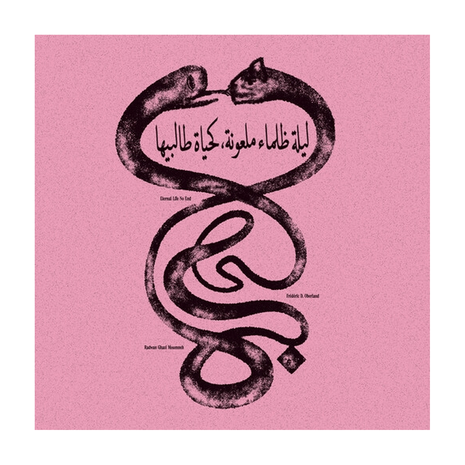 Radwan Ghazi Moumneh / Federic D. Oberland - Eternal Life No End