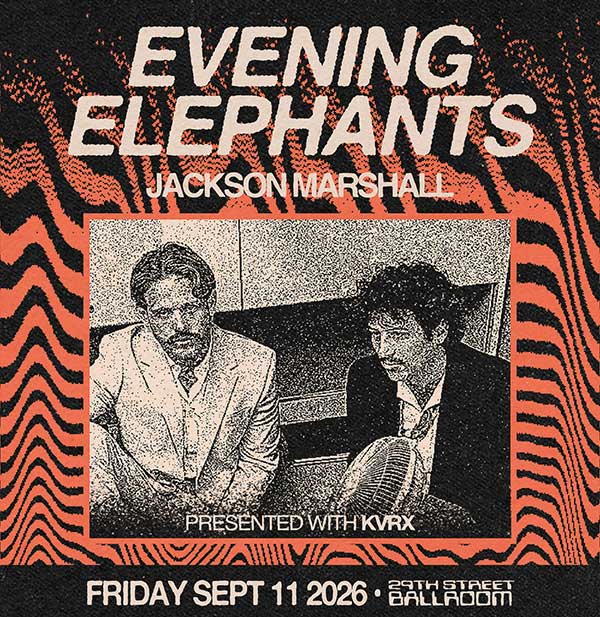 Evening Elephants