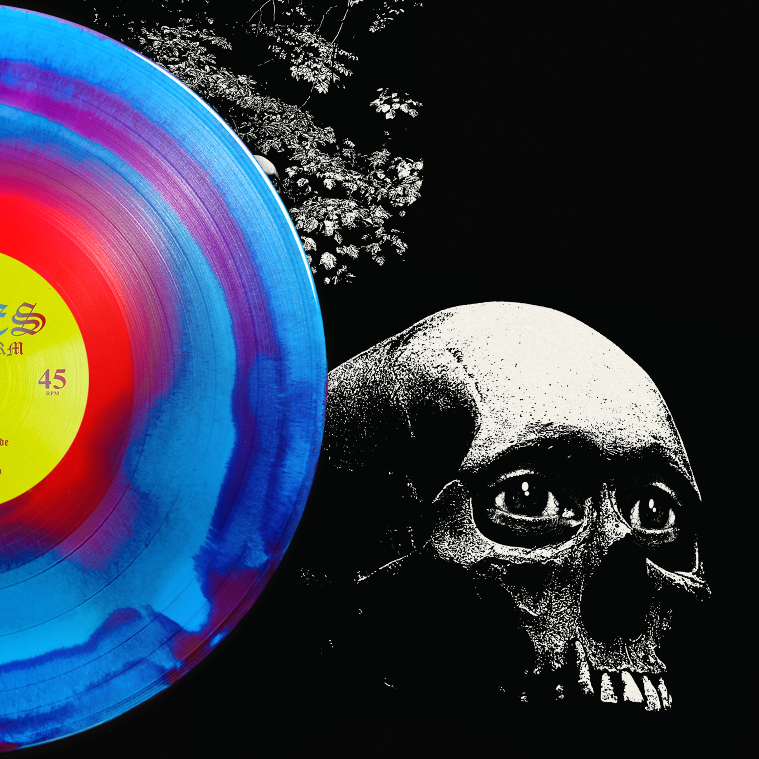 Signed Collection – tagged 