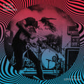 A Place To Bury Strangers - Live at Levitation