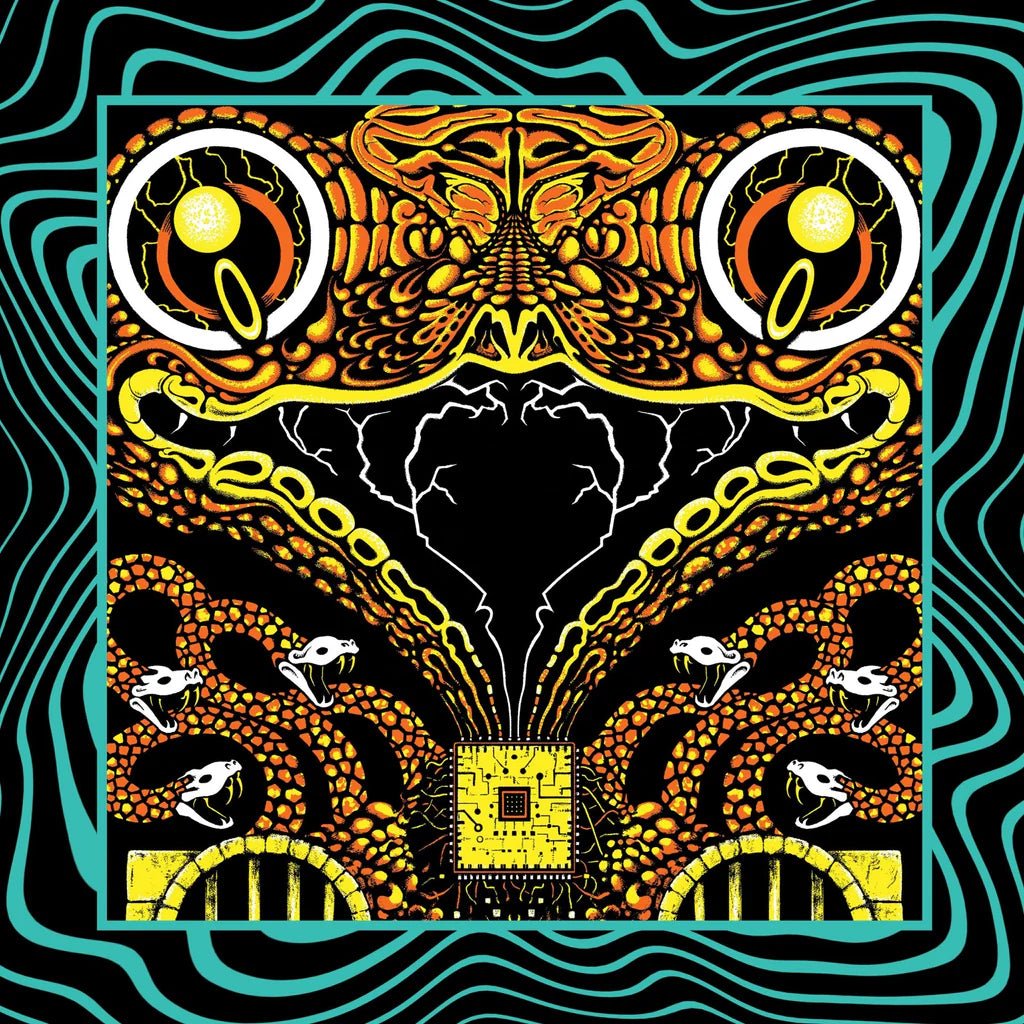 Acoustic Gizzard Vol. II - Live in San Diego '24 (3L | LEVITATION