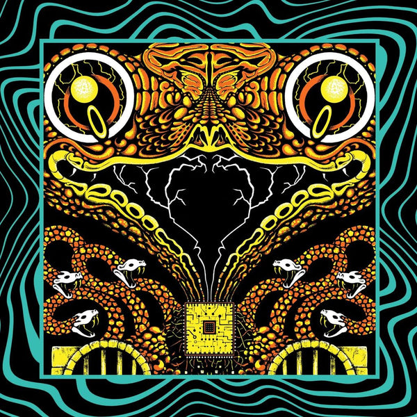 Acoustic Gizzard Vol. II - Live in San Diego '24 (3LP Triple Gatefold) - LEVITATION